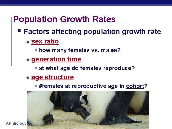 Population Growth Rates § Factors affecting population growth rate u sex ratio § how