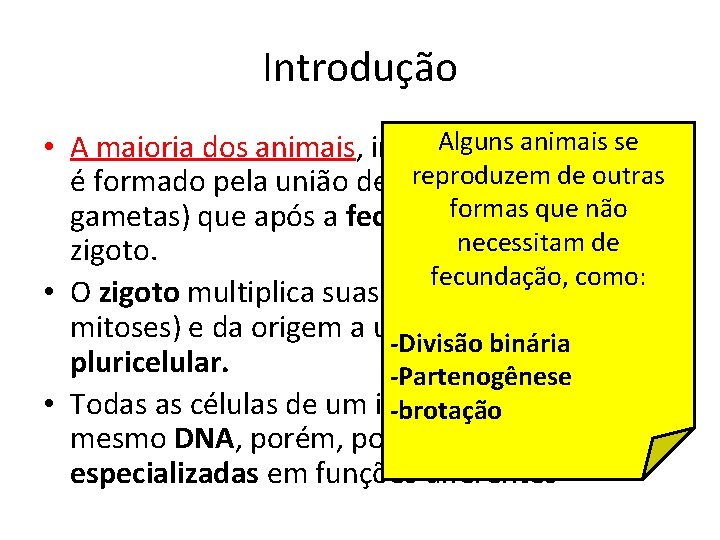 Introdução Alguns se • A maioria dos animais, incluindo o animais ser humano reproduzem