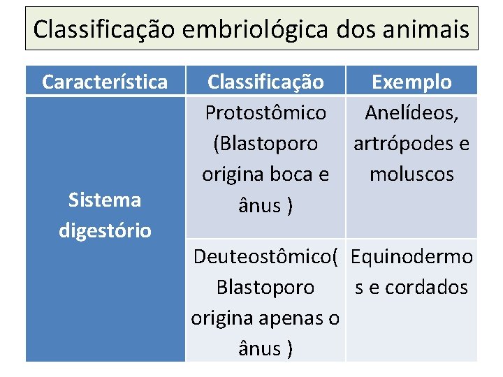 Classificação embriológica dos animais Característica Sistema digestório Classificação Protostômico (Blastoporo origina boca e ânus