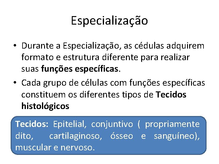 Especialização • Durante a Especialização, as cédulas adquirem formato e estrutura diferente para realizar