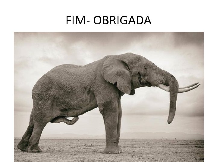 FIM- OBRIGADA 