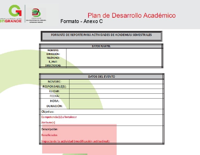 Formato - Anexo C 14 