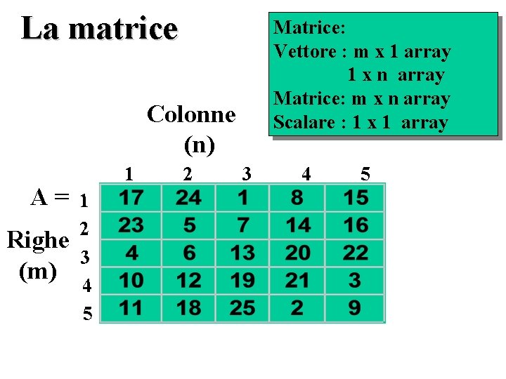 La matrice Matrice: Vettore : m x 1 array 1 x n array Matrice: