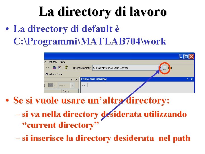 La directory di lavoro • La directory di default è C: ProgrammiMATLAB 704work •
