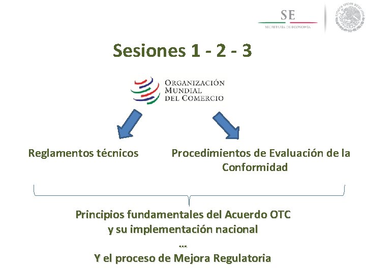 Sesiones 1 - 2 - 3 Reglamentos técnicos Procedimientos de Evaluación de la Conformidad