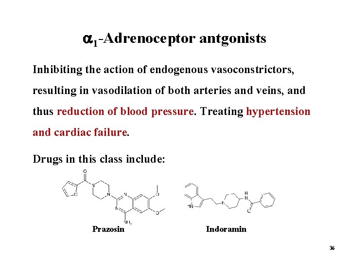  1 -Adrenoceptor antgonists Inhibiting the action of endogenous vasoconstrictors, resulting in vasodilation of