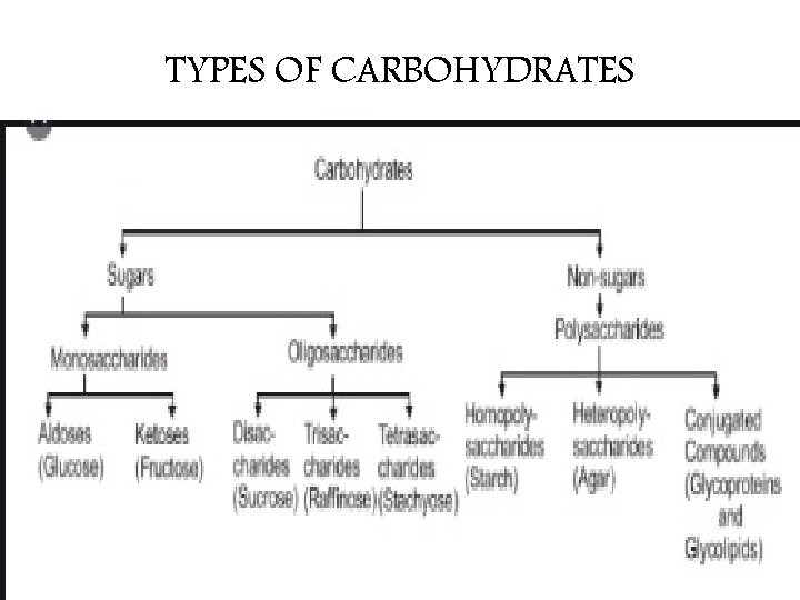 TYPES OF CARBOHYDRATES 