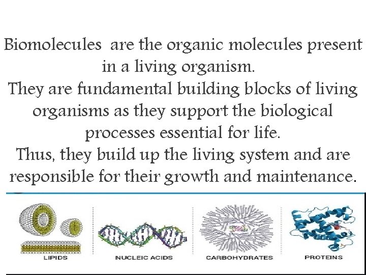 Biomolecules are the organic molecules present in a living organism. They are fundamental building