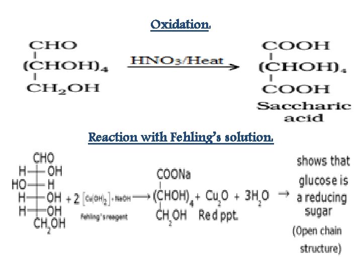 Oxidation: Reaction with Fehling’s solution: 