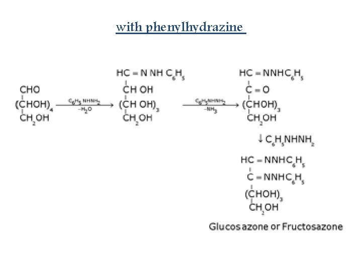 with phenylhydrazine 