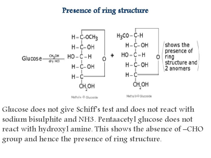 Presence of ring structure Glucose does not give Schiff’s test and does not react