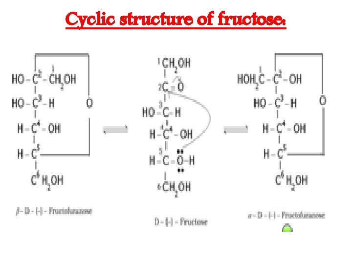 Cyclic structure of fructose: 