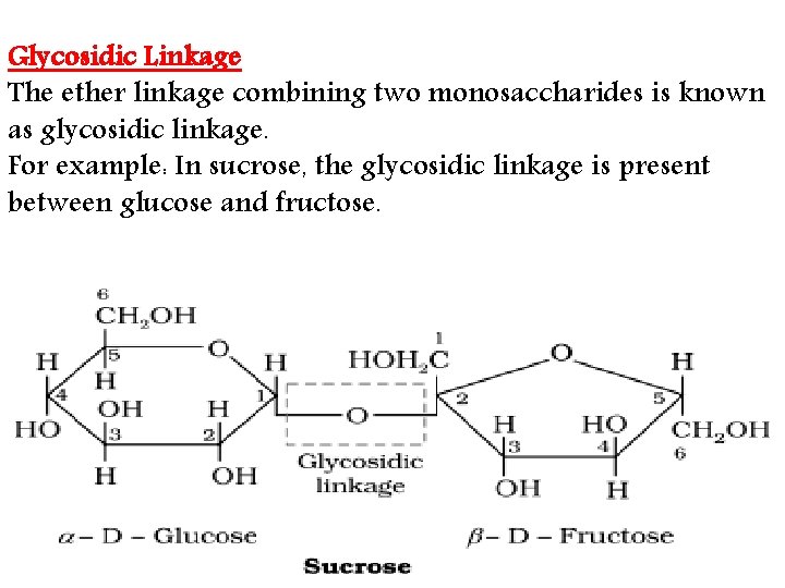 Glycosidic Linkage The ether linkage combining two monosaccharides is known as glycosidic linkage. For