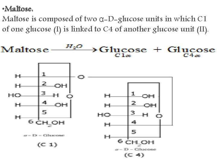  • Maltose: Maltose is composed of two α-D-glucose units in which C 1