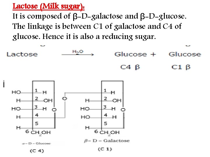 Lactose (Milk sugar): It is composed of β-D-galactose and β-D-glucose. The linkage is between