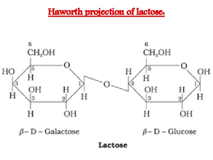 Haworth projection of lactose: 