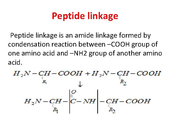 Peptide linkage is an amide linkage formed by condensation reaction between –COOH group of