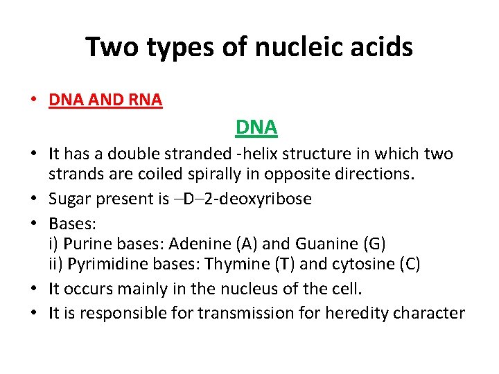 Two types of nucleic acids • DNA AND RNA DNA • It has a