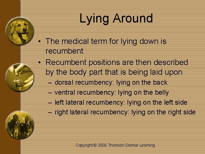 Lying Around • The medical term for lying down is recumbent • Recumbent positions