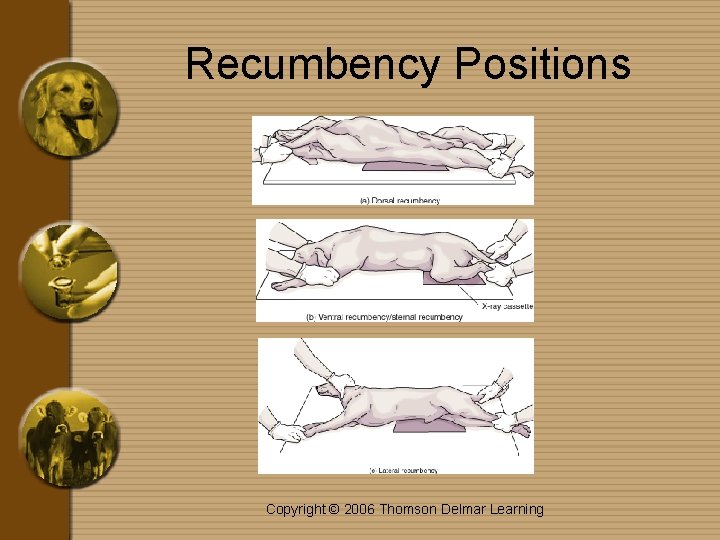 Recumbency Positions Copyright © 2006 Thomson Delmar Learning 