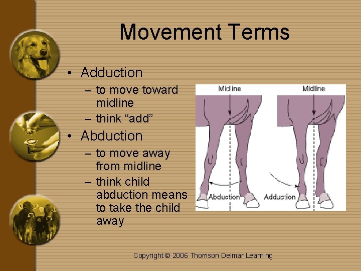 Movement Terms • Adduction – to move toward midline – think “add” • Abduction