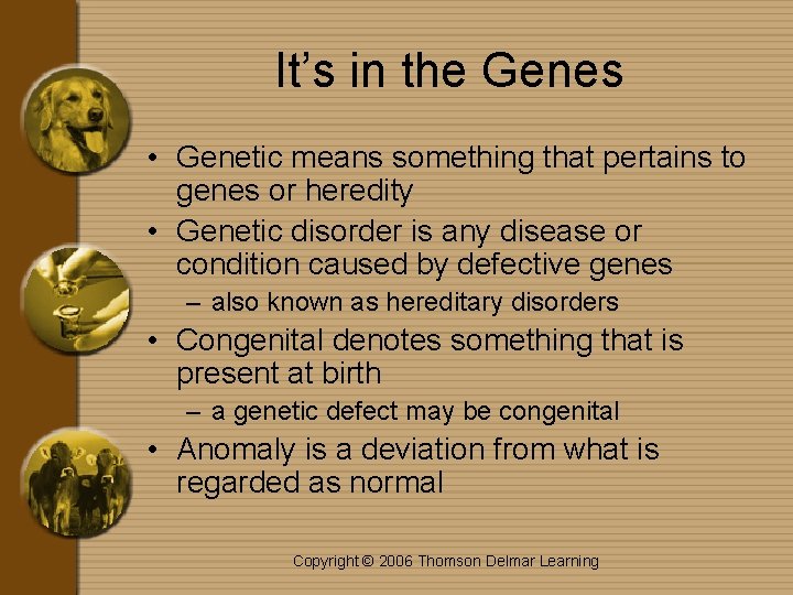 It’s in the Genes • Genetic means something that pertains to genes or heredity