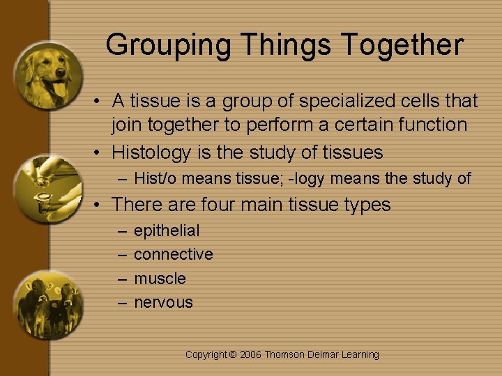 Grouping Things Together • A tissue is a group of specialized cells that join
