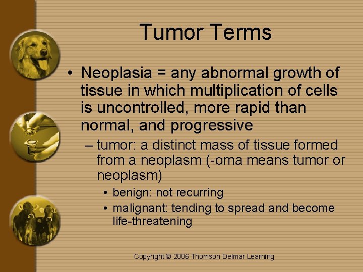 Tumor Terms • Neoplasia = any abnormal growth of tissue in which multiplication of