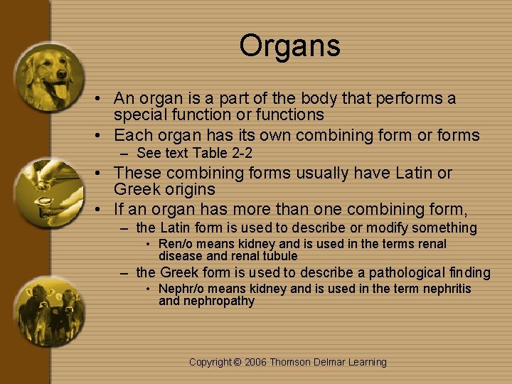 Organs • An organ is a part of the body that performs a special