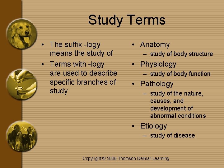Study Terms • The suffix -logy means the study of • Terms with -logy