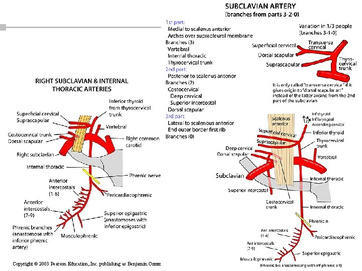 Copyright © 2003 Pearson Education, Inc. publishing as Benjamin Cummings 