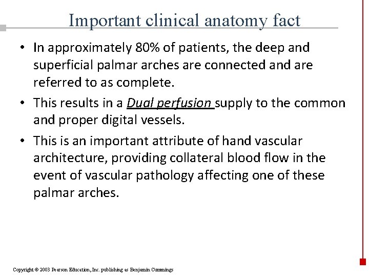 Important clinical anatomy fact • In approximately 80% of patients, the deep and superficial