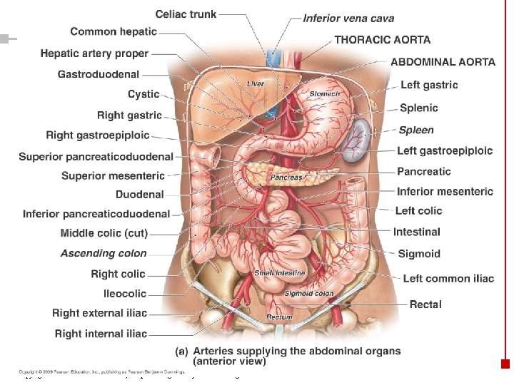 Copyright © 2003 Pearson Education, Inc. publishing as Benjamin Cummings 38 