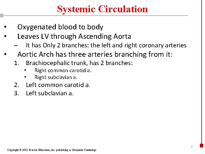Systemic Circulation • • Oxygenated blood to body Leaves LV through Ascending Aorta –