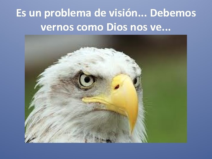 Es un problema de visión. . . Debemos vernos como Dios nos ve. .