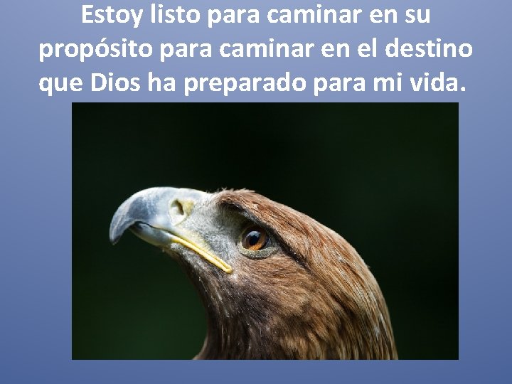 Estoy listo para caminar en su propósito para caminar en el destino que Dios