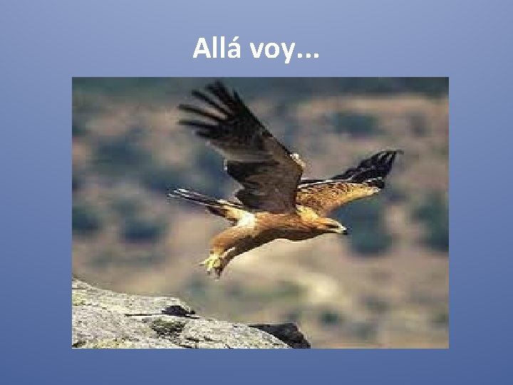 Allá voy. . . 