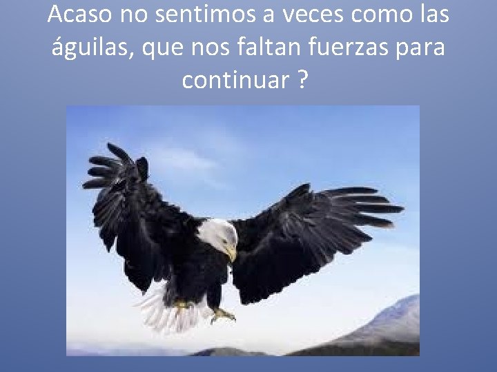 Acaso no sentimos a veces como las águilas, que nos faltan fuerzas para continuar