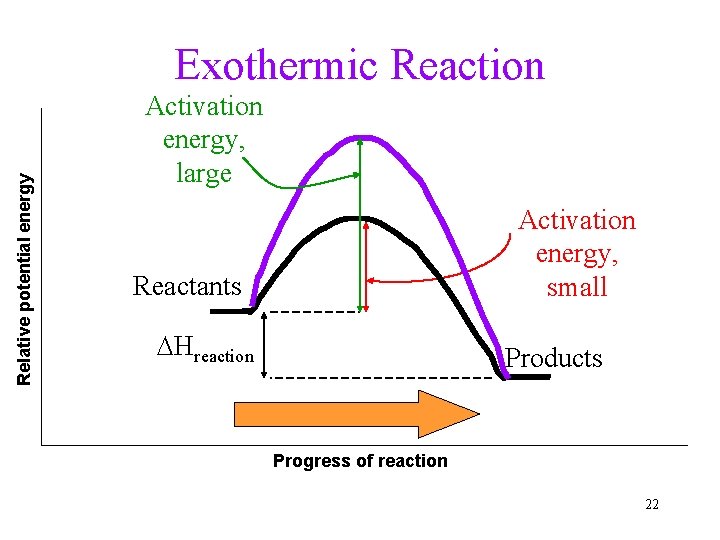 Relative potential energy Exothermic Reaction Activation energy, large Activation energy, small Reactants DHreaction Products