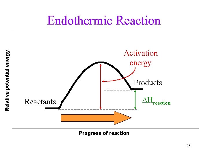 Relative potential energy Endothermic Reaction Activation energy Products DHreaction Reactants Progress of reaction 23