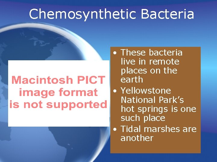 Chemosynthetic Bacteria • These bacteria live in remote places on the earth • Yellowstone