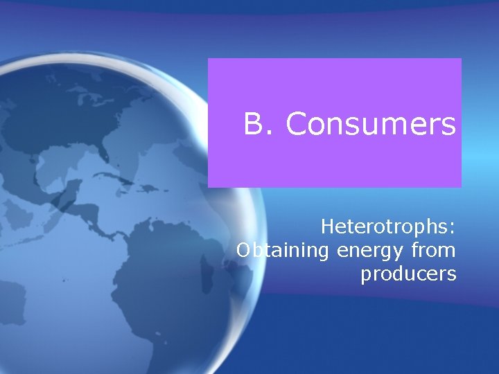 B. Consumers Heterotrophs: Obtaining energy from producers 