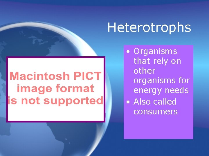 Heterotrophs • Organisms that rely on other organisms for energy needs • Also called