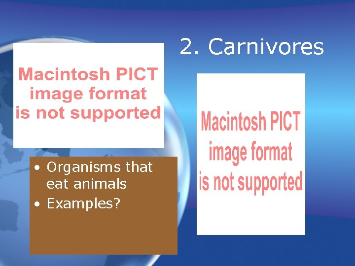 2. Carnivores • Organisms that eat animals • Examples? 