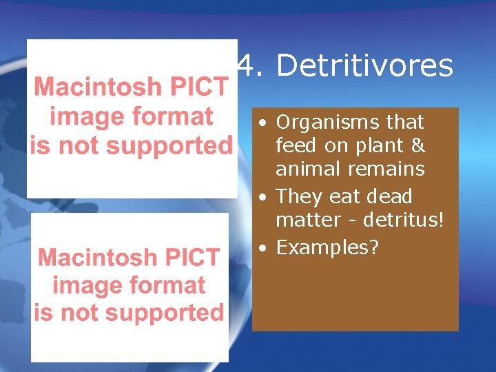 4. Detritivores • Organisms that feed on plant & animal remains • They eat