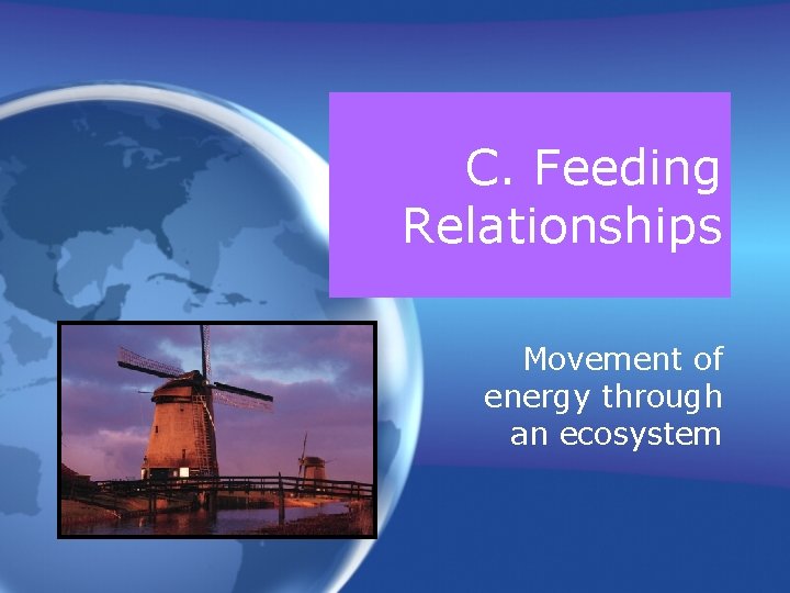 C. Feeding Relationships Movement of energy through an ecosystem 