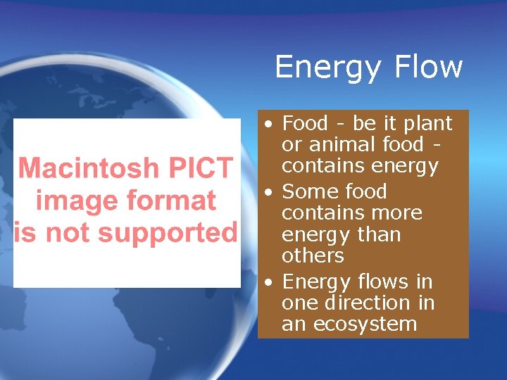 Energy Flow • Food - be it plant or animal food contains energy •