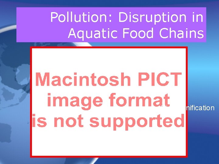 Pollution: Disruption in Aquatic Food Chains Biomagnification 