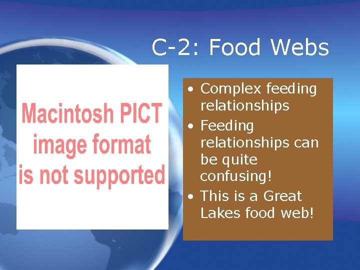 C-2: Food Webs • Complex feeding relationships • Feeding relationships can be quite confusing!