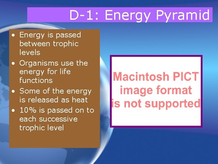 D-1: Energy Pyramid • Energy is passed between trophic levels • Organisms use the